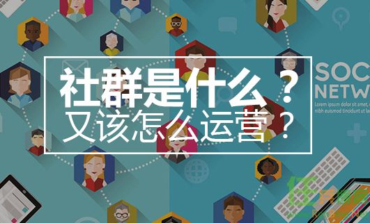 短剧群运营，策略与实践的深度解析