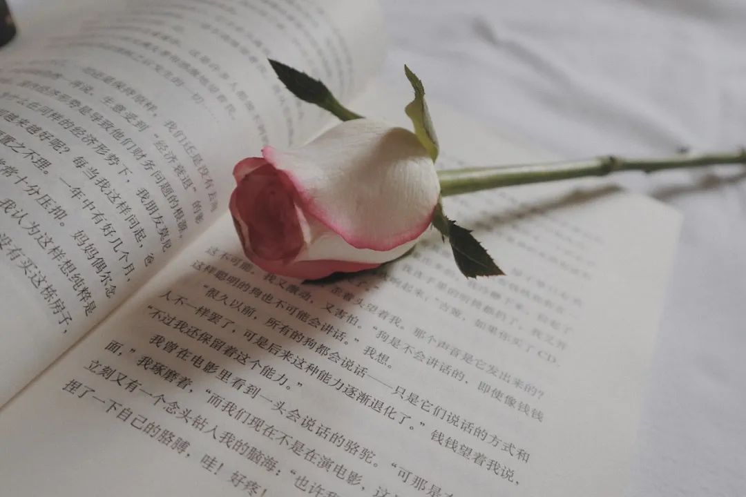别做“副”业。 别做“副”业。