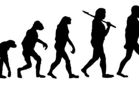 产品进化论：如何用好5个达尔文法则