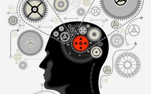 《心理科学》：研究发现人脑一生都在发展变化