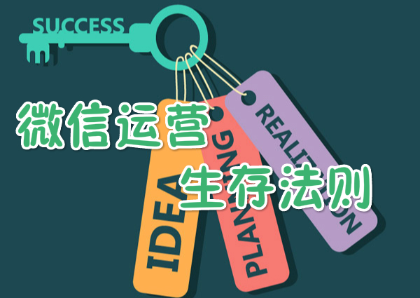 揭秘微信运营生存法则，为什么别人成功而你却失败了？