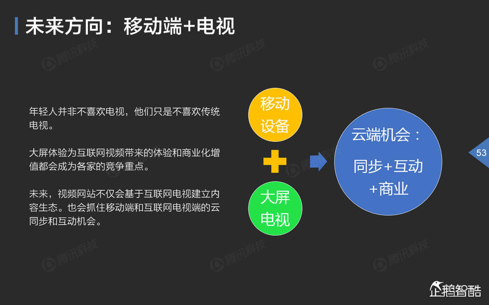 中国网络视频大数据报告