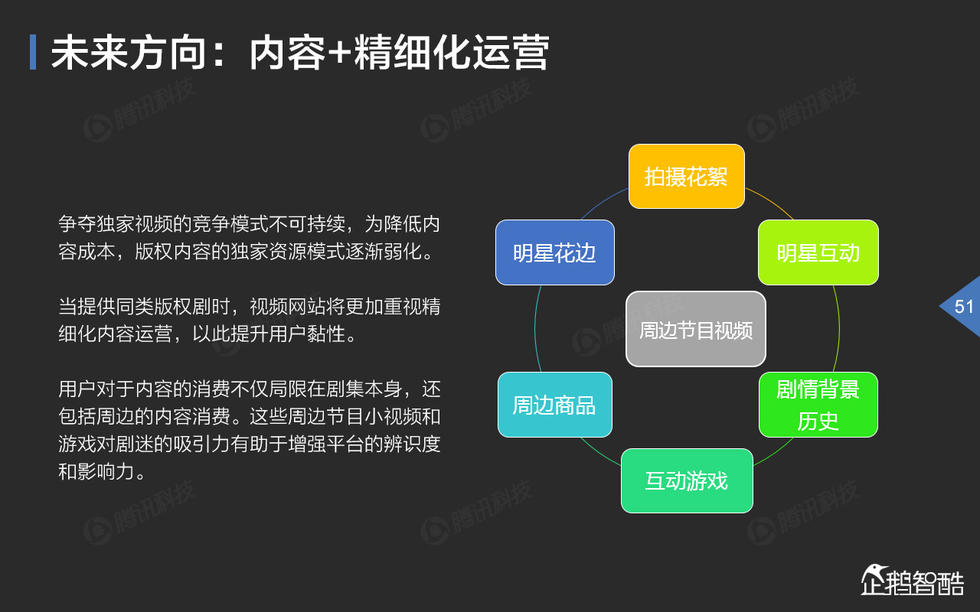 中国网络视频大数据报告