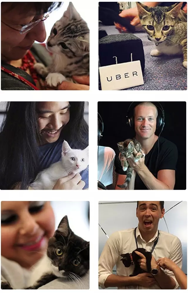 火的一塌糊涂的Uber在全球做的营销活动竟然没花一分钱？！