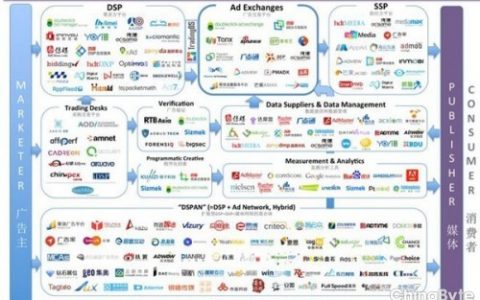 传漾：程序化购买的繁荣催生更细分领域