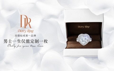 解析：Darry Ring凭什么值10个亿美金？