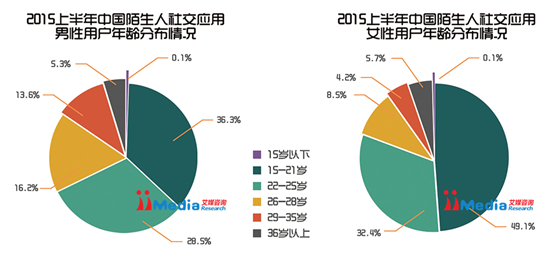 2015上半年中国陌生人社交应用研究