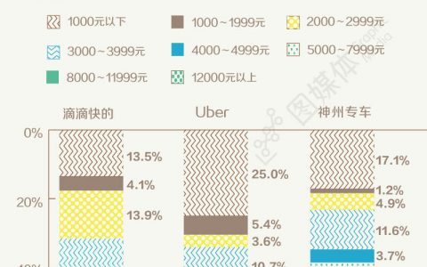 图谱：谁将一统专车市场