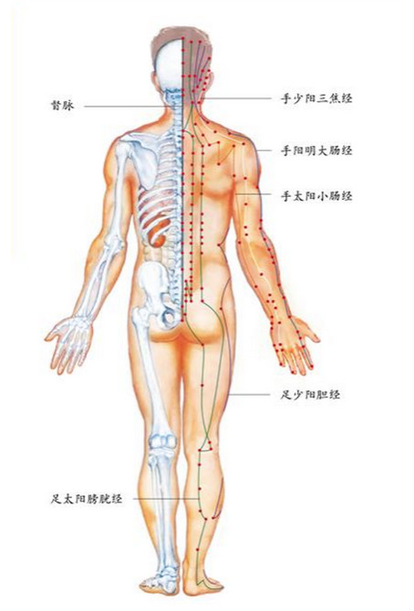 从设计到数据——写给非数据人的数据世界入门指南