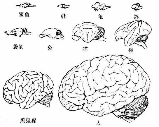 微信朋友几千人并木有卵用，你最多能记144人！