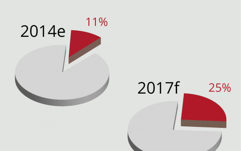 2017年印度移动电子商务销售额份额将增长至25%