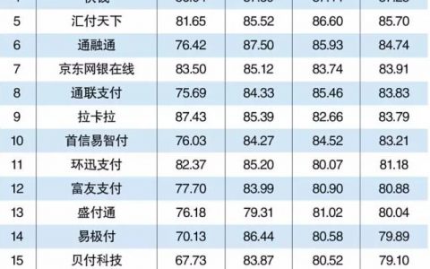 2015年中国跨境支付企业排行榜TOP 20