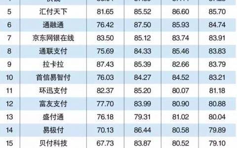 2015年中国跨境支付企业排行榜TOP 20