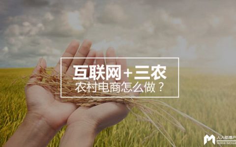 互联网+三农 农村电商怎么做？