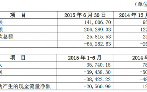 PPTV资不抵债：半年亏3.84亿