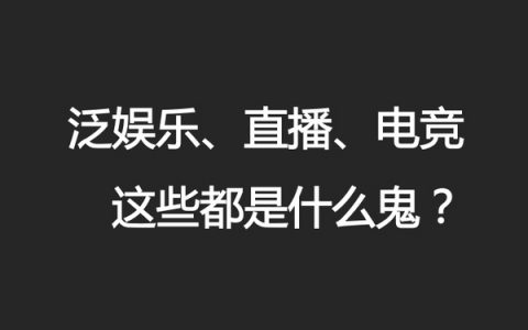 泛娱乐、直播、电竞，这些都是神马鬼