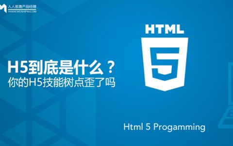 H5到底是什么？你的H5技能树点歪了吗？