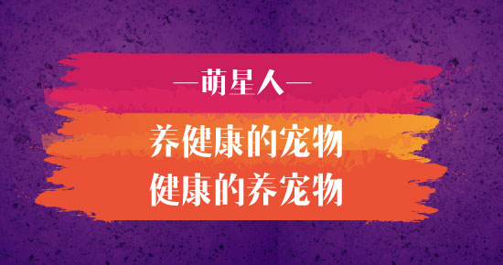 萌星人宠物：提供宠物月费饲养套餐服务