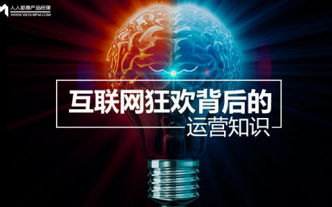 引爆点：互联网狂欢背后的运营知识