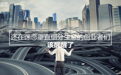 还在迷恋垂直细分生意的创业者们，该醒醒了