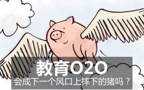 教育O2O会成下一个风口上摔下的猪吗？