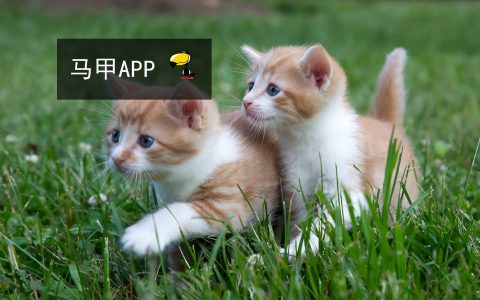 APP营销中马甲APP为什么那么流行
