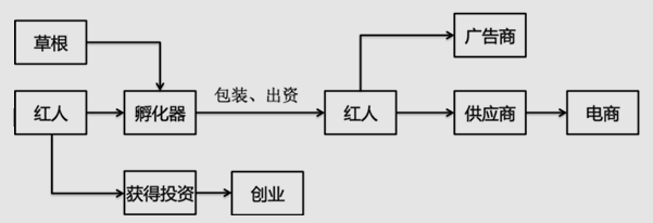 papi酱、王思聪、雷军、罗永浩……2016年最新网红报告出炉