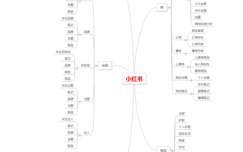 全面解析小红书发展历程