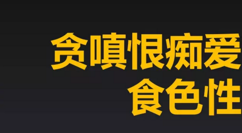 从初级到高级：新媒体运营汪的自我进阶修炼