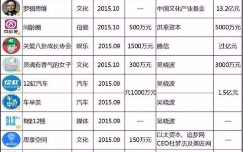魏武挥：兼谈内容生产的机构化