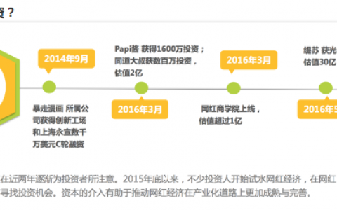 3年预估规模过2000亿，如何玩转网红经济？