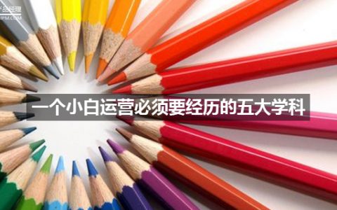 一个小白运营必须要经历的五大学科