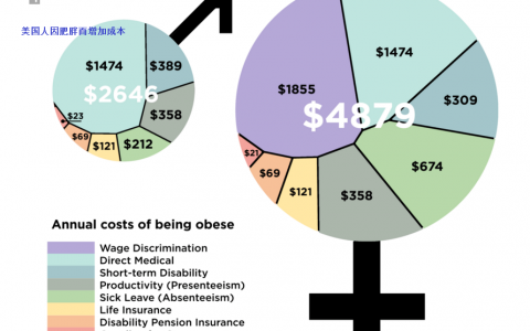 经济学可以把肥胖成本解释的很清楚