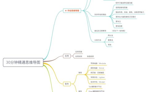 30分钟精通思维导图