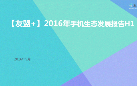 2016年手机生态发展报告