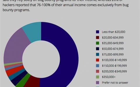调查显示6%的白帽黑客年收入超10万美元