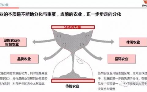 中国“互联网+农业”产业链商机分析报告