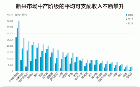 欧睿咨询：开拓新兴市场电子商务的战略报告