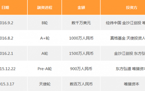 滴滴出行为何投资了 ofo 而没有投资摩拜单车？