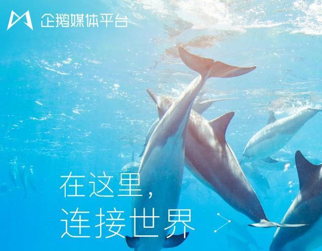 如何充分的利用自媒体平台做推广