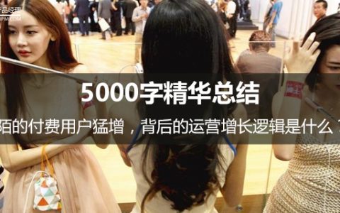 5000字精华总结｜陌陌的付费用户猛增，背后的运营增长逻辑是什么？