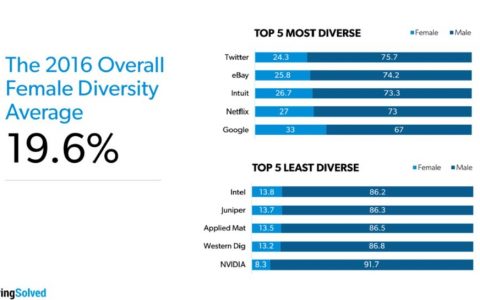 2016年美国25大科技公司女员工比例仅19.6%