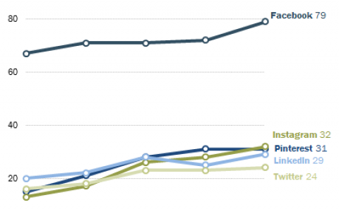 2016年美国Facebook成年活跃用户比例高达79%