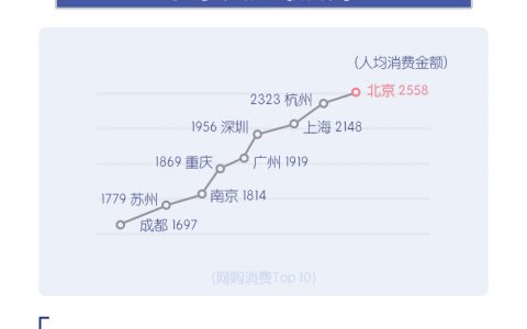 随手记双11大数据：人均多花10% 奶爸成生力军