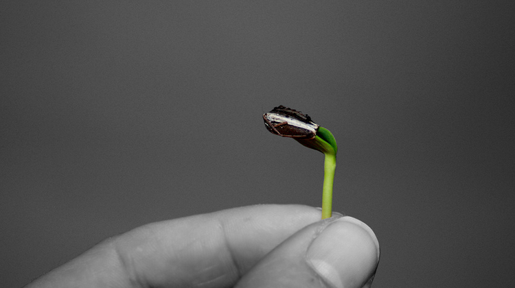 获取种子用户的9个案例12个具体方法（下）