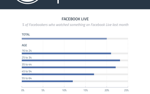 20%的Facebook用户观看手机直播