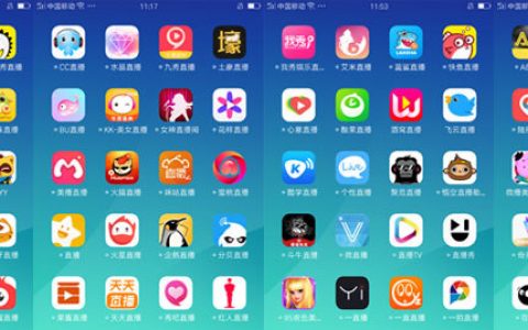 网络红人电商的增长瓶颈在哪里？