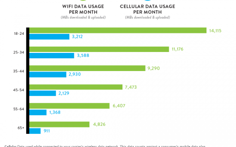 在美国千禧一代手机数据使用量最高