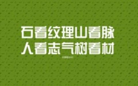 一年零四个月网站运营经验网站优化