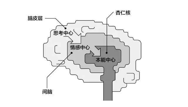 营销老总年薪百万，却不知道营销真正的驱动力